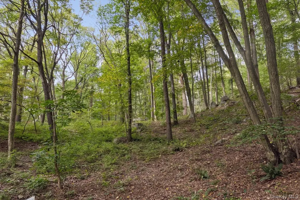 Tbd Rt-9d Garrison NY 10524