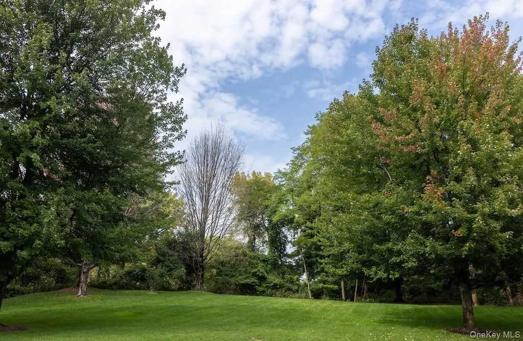 66 Landing Drive Dobbs Ferry NY 10522