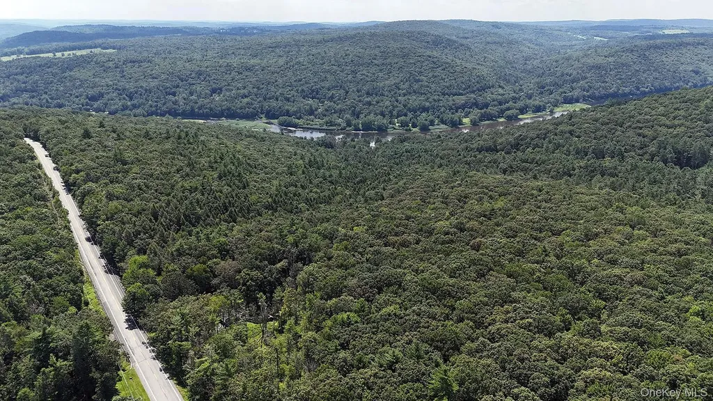 9568 State Route 97 Callicoon NY 12723