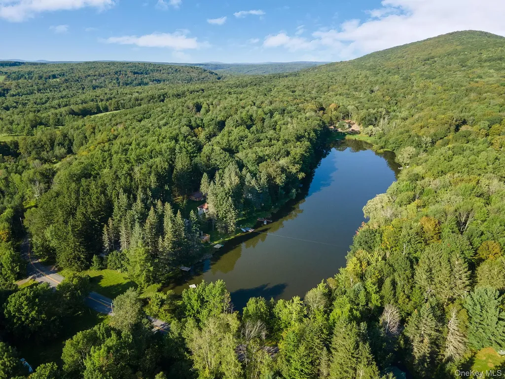 106 Earles Lane Gilboa NY 12076
