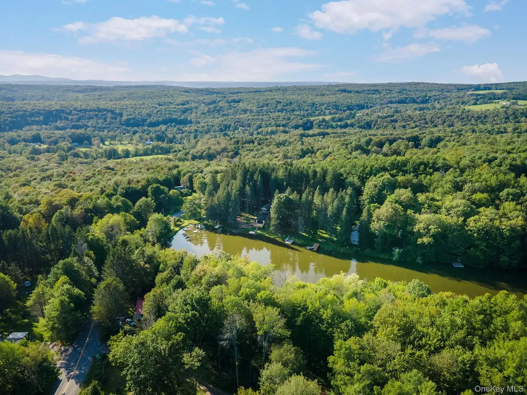 106 Earles Lane Gilboa NY 12076