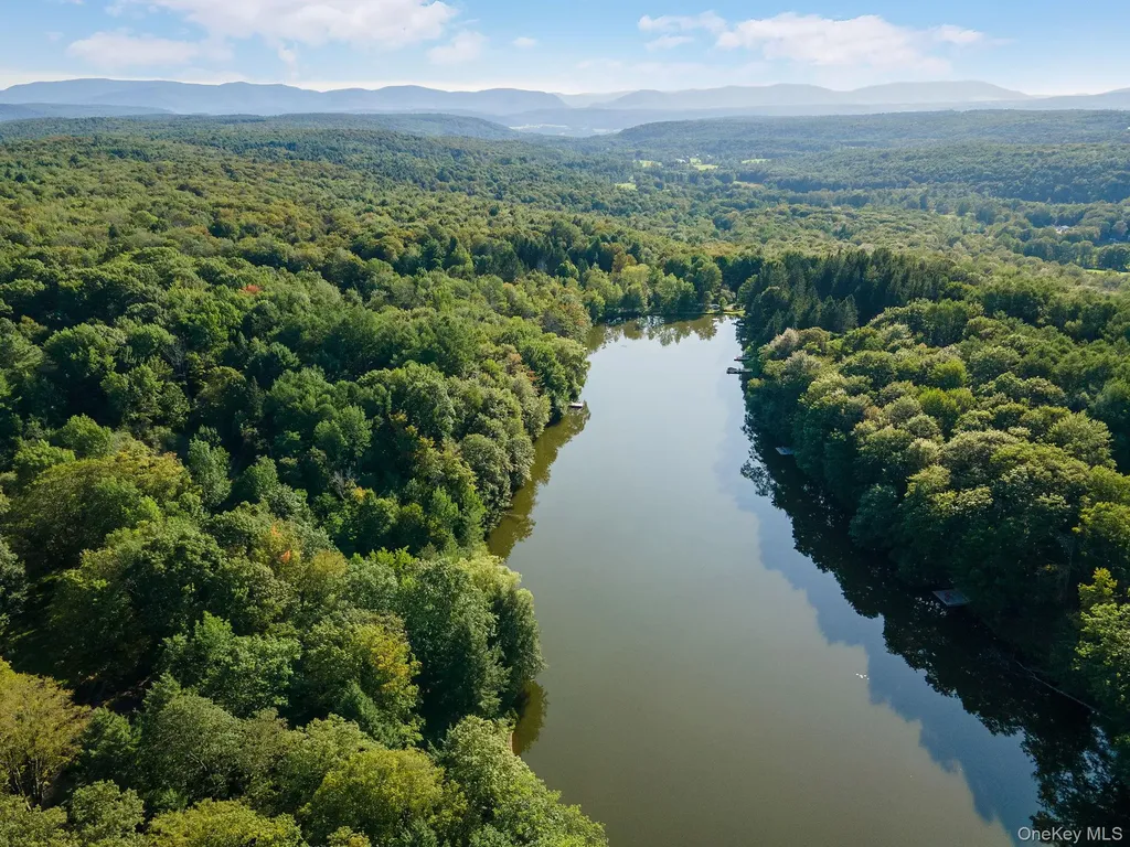 106 Earles Lane Gilboa NY 12076