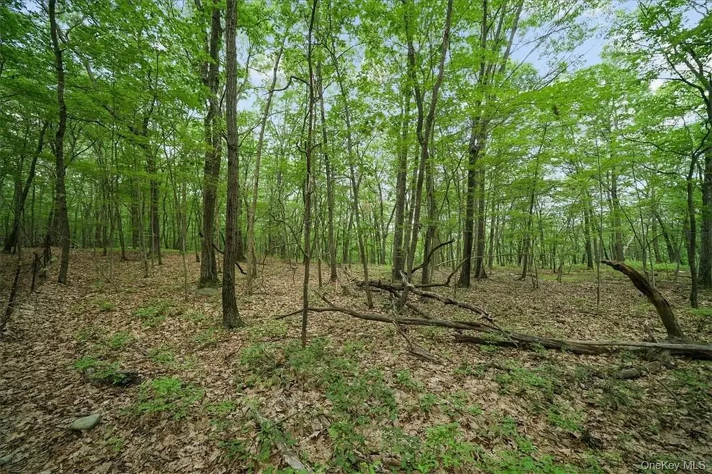 Stag Hill Road Monroe NY 10950