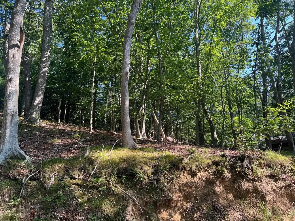 Fern Road Calverton NY 11933