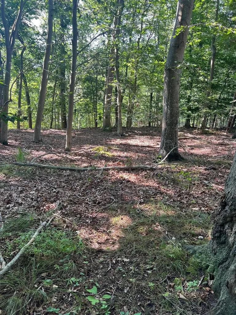 Fern Road Calverton NY 11933