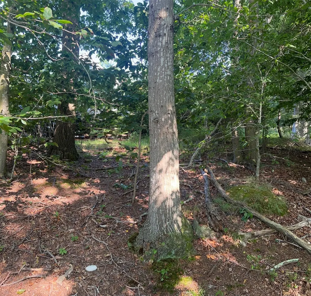 Fern Road Calverton NY 11933