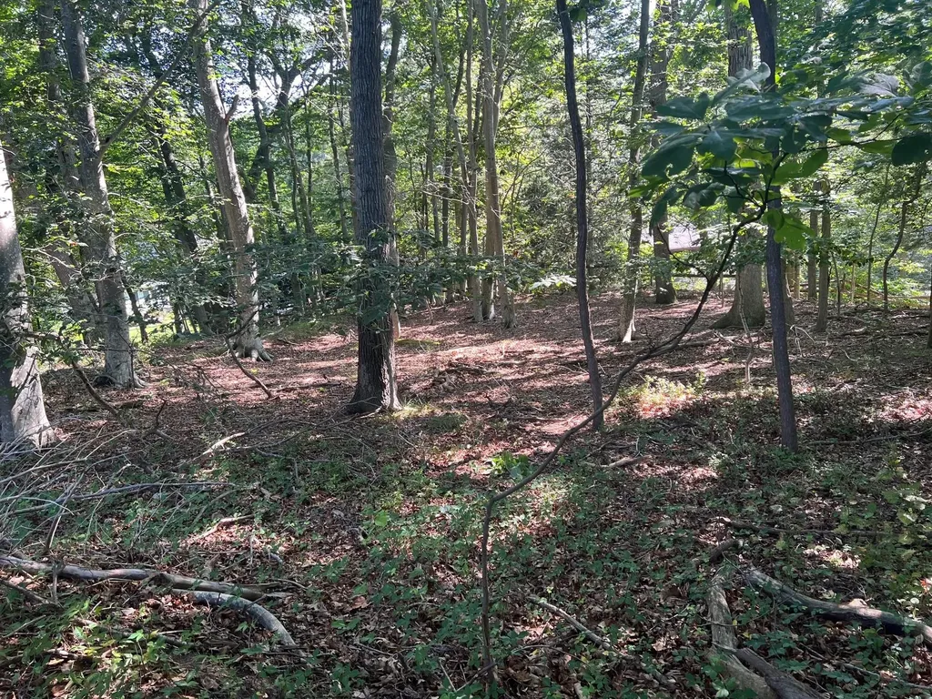 Fern Road Calverton NY 11933