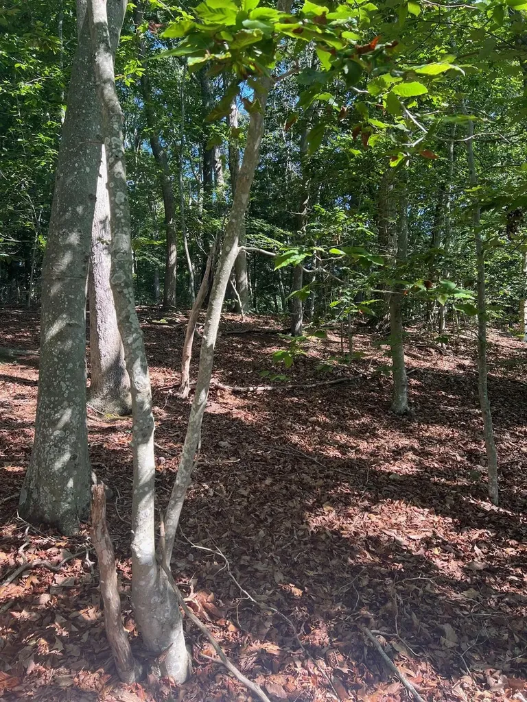 Fern Road Calverton NY 11933