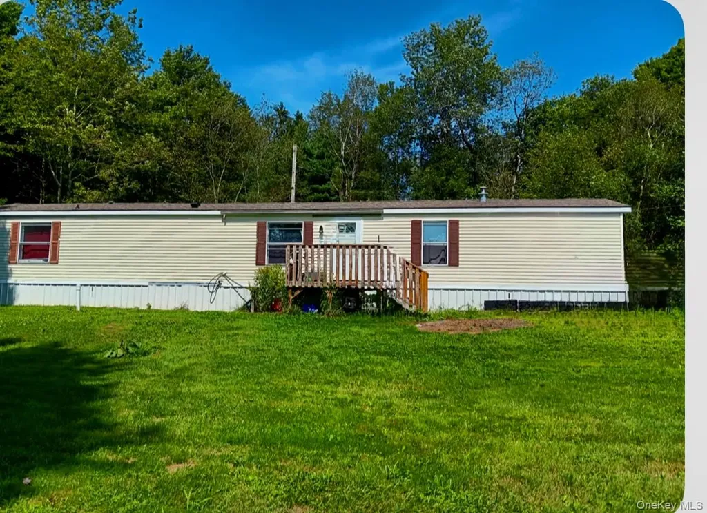 811 Briscoe Liberty NY 12783