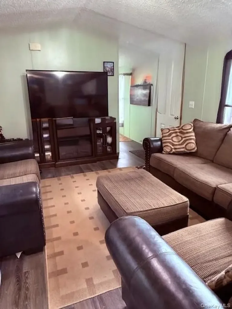 811 Briscoe Liberty NY 12783