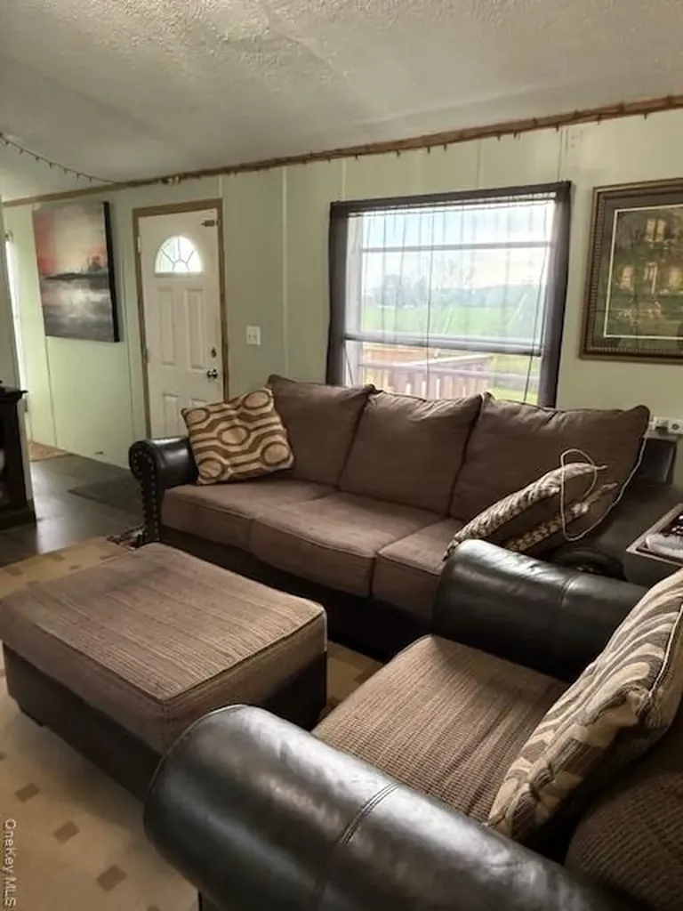 811 Briscoe Liberty NY 12783
