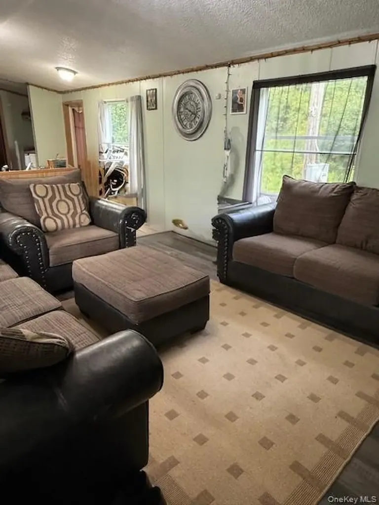 811 Briscoe Liberty NY 12783