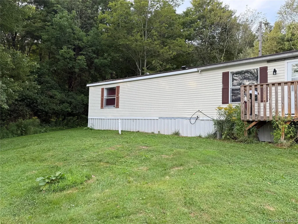 811 Briscoe Liberty NY 12783