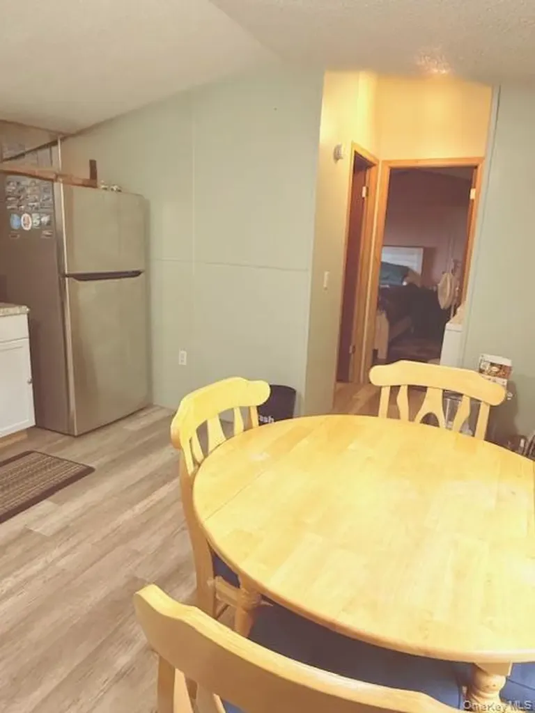 811 Briscoe Liberty NY 12783