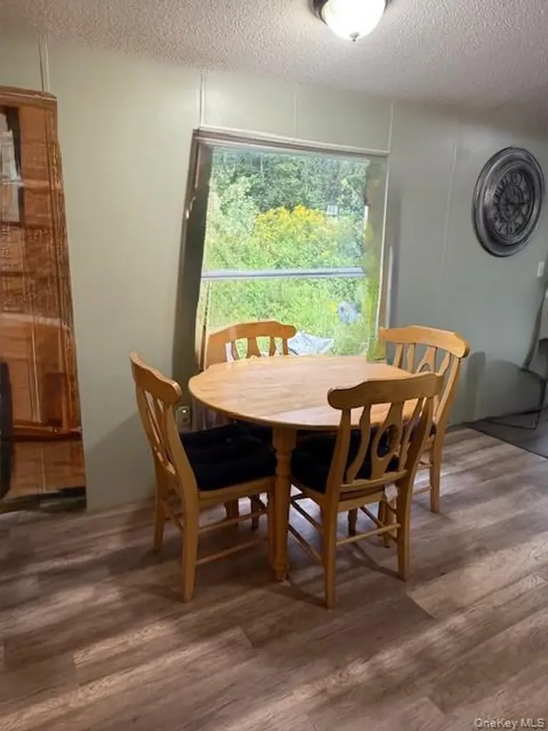 811 Briscoe Liberty NY 12783