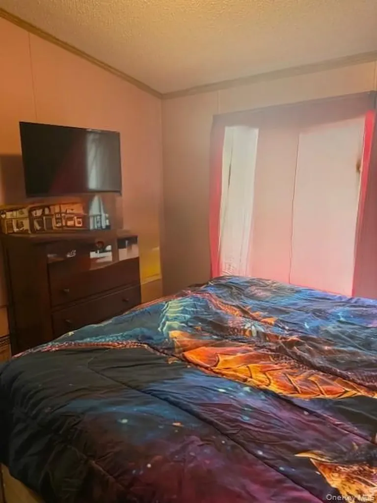 811 Briscoe Liberty NY 12783