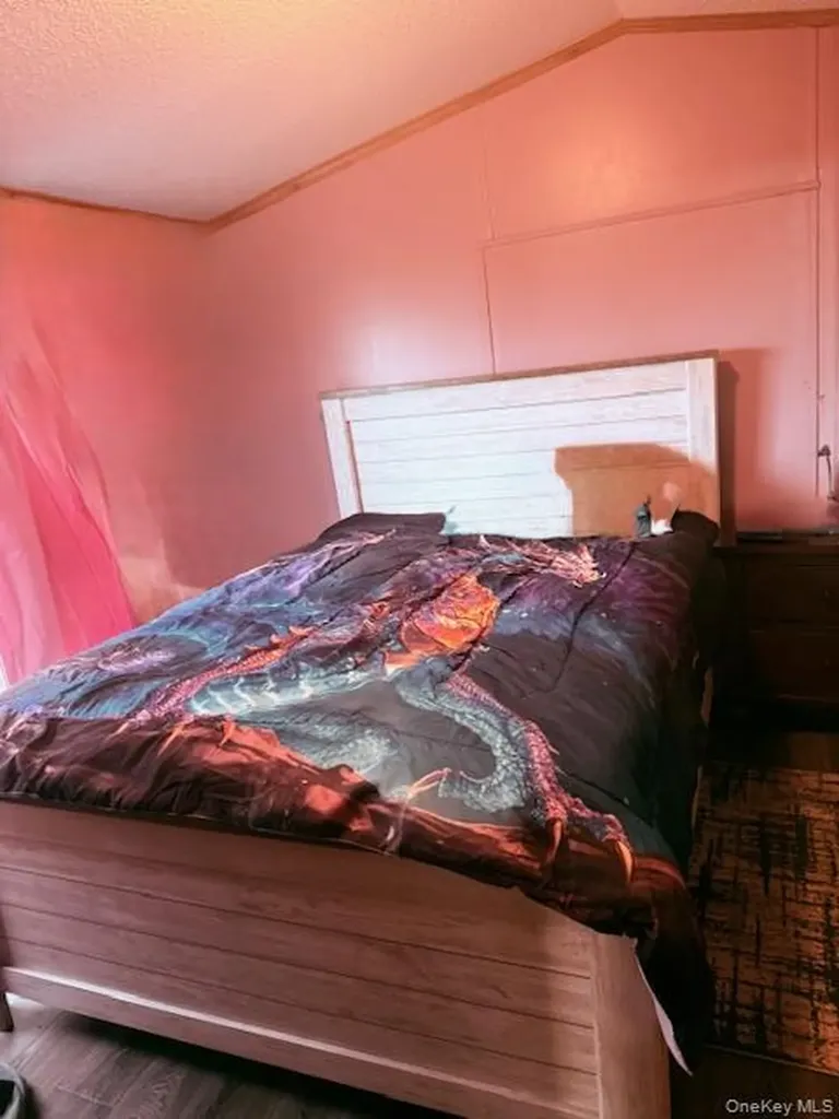 811 Briscoe Liberty NY 12783