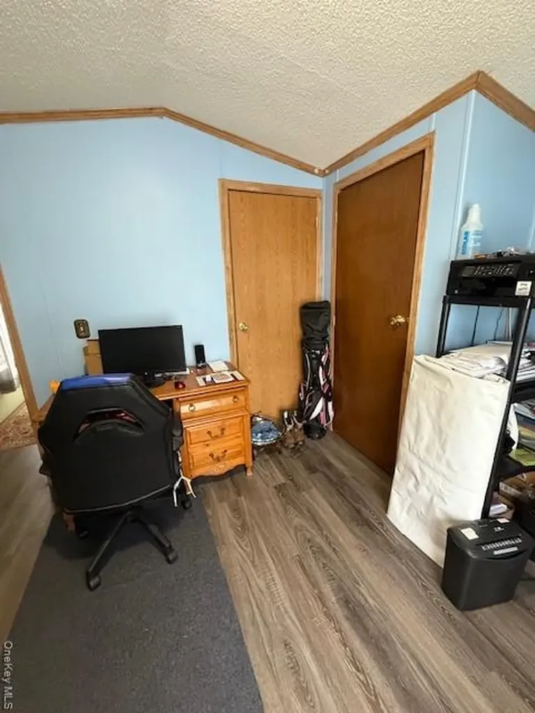 811 Briscoe Liberty NY 12783