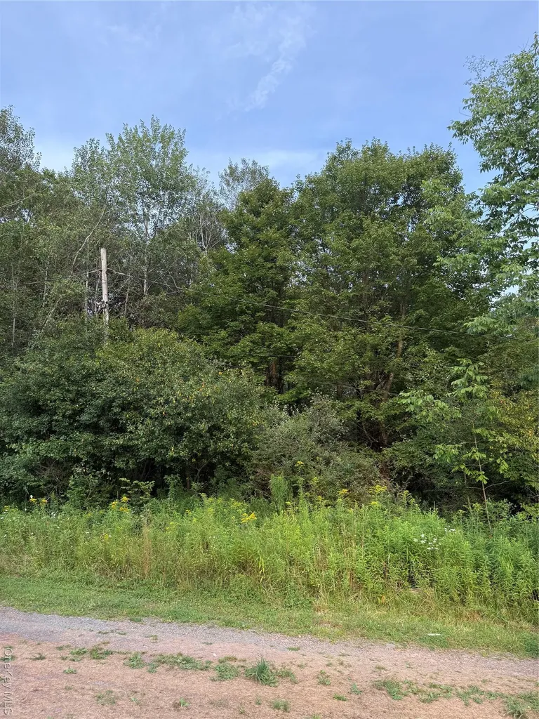 811 Briscoe Liberty NY 12783