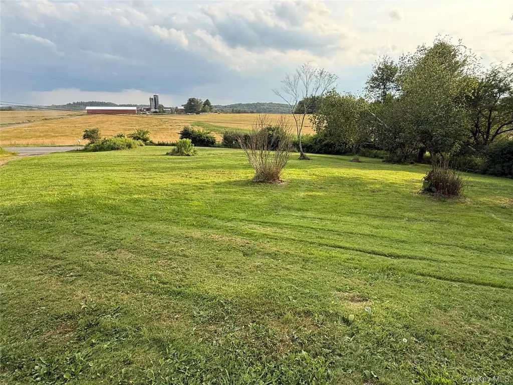 811 Briscoe Liberty NY 12783