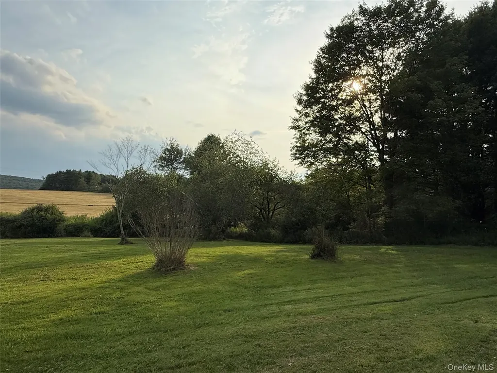 811 Briscoe Liberty NY 12783
