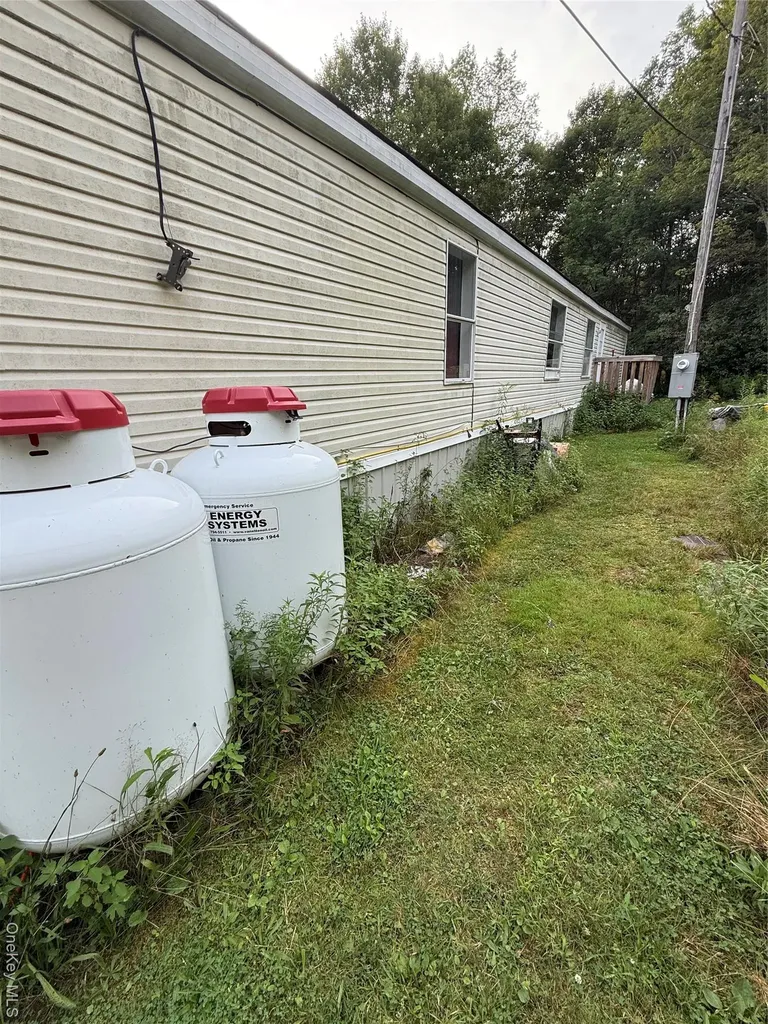 811 Briscoe Liberty NY 12783