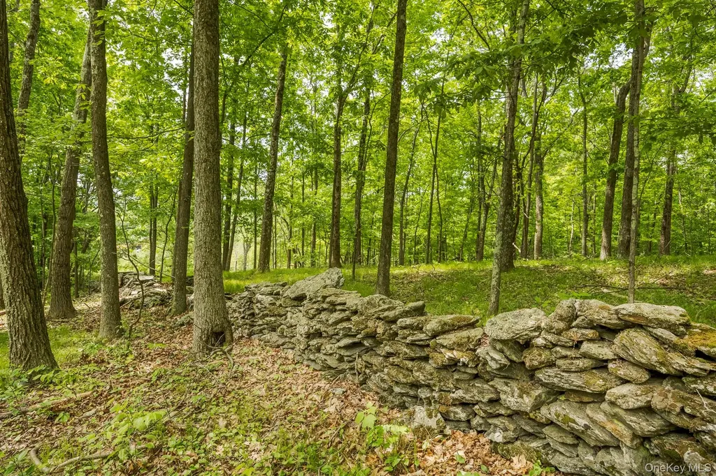 A Skunks Misery Road Millerton NY 12546