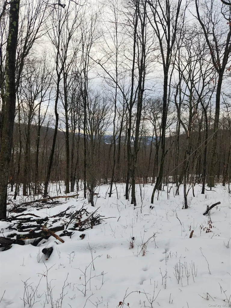 A Skunks Misery Road Millerton NY 12546