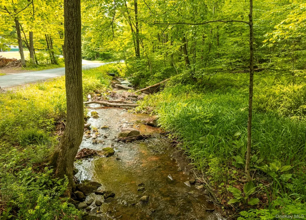 A Skunks Misery Road Millerton NY 12546