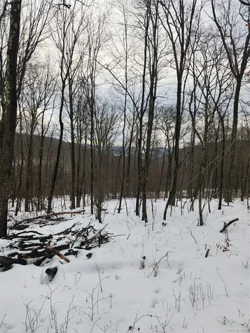 A Skunks Misery Road Millerton NY 12546