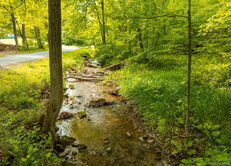 A Skunks Misery Road Millerton NY 12546