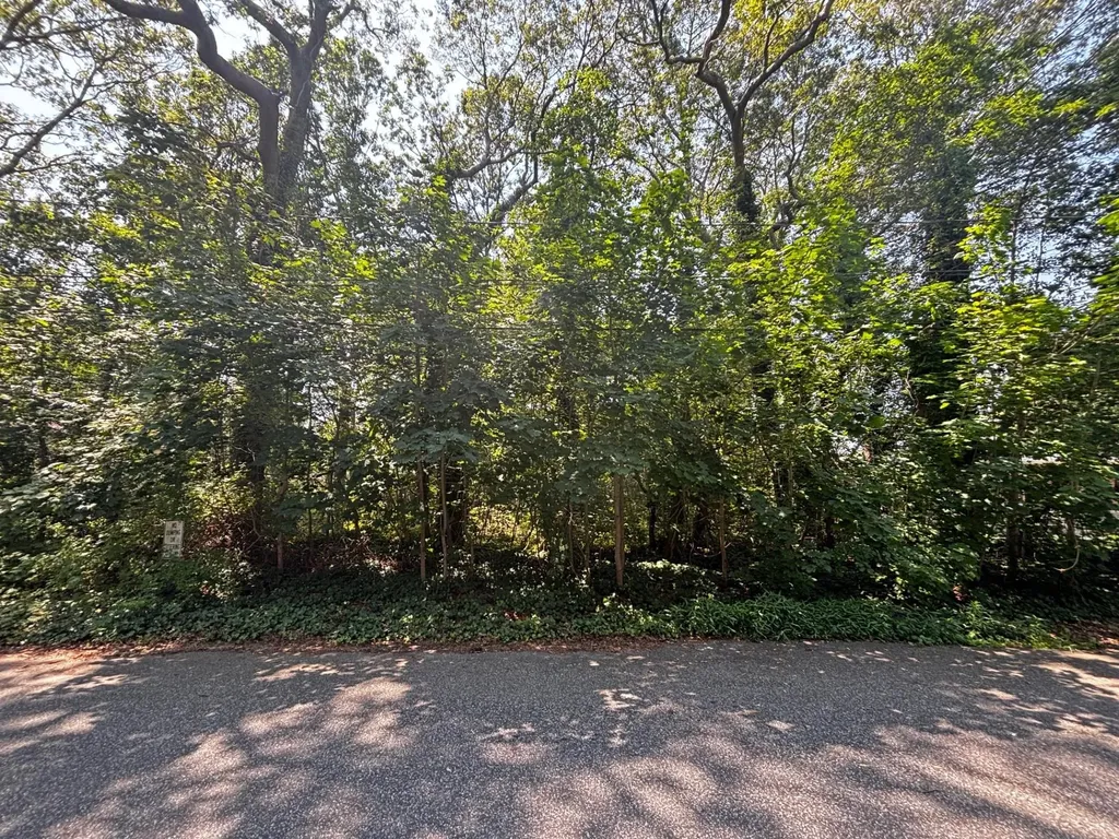 Holly Lane Shirley NY 11967