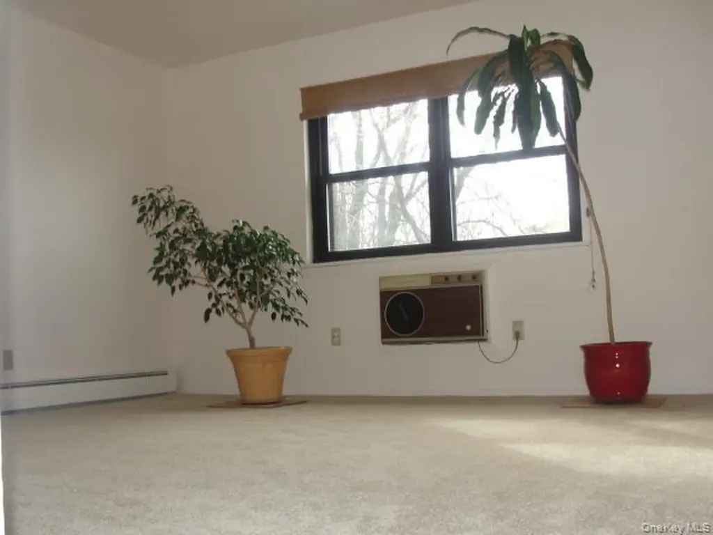 220 Sneden Place Spring Valley NY 10977