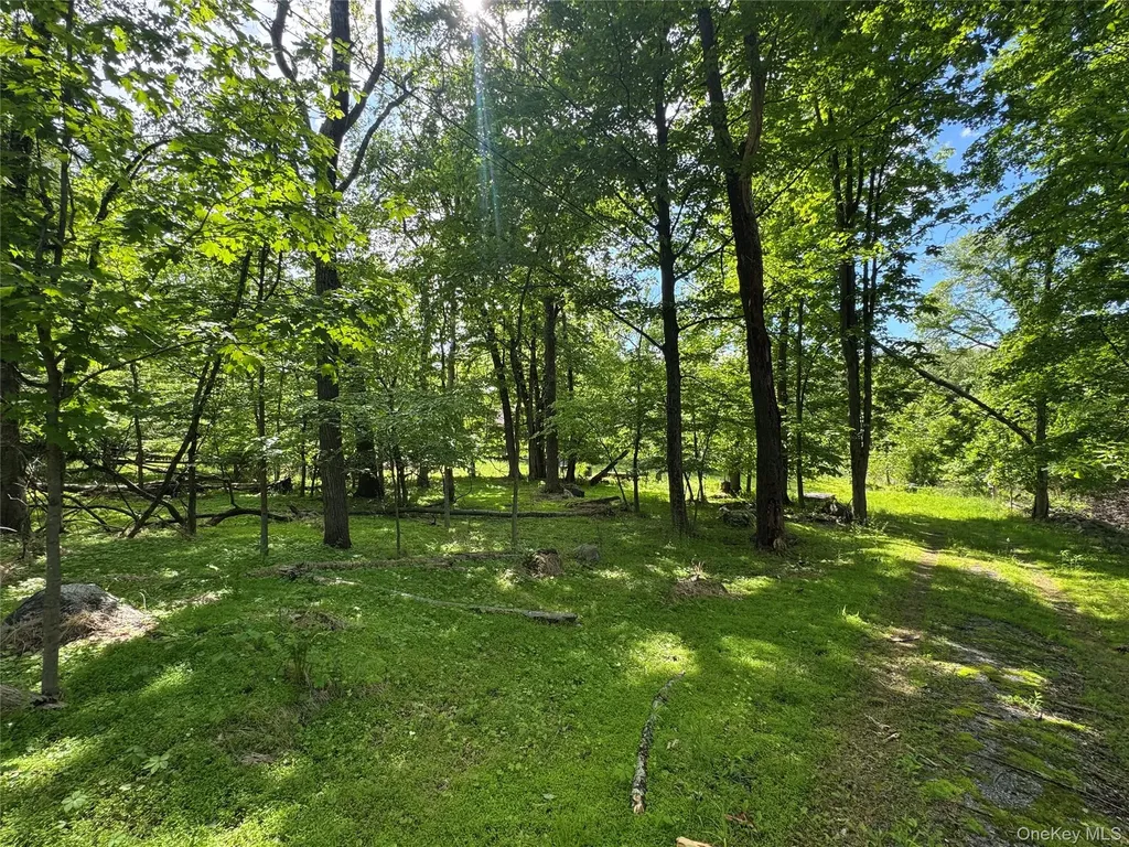 68 Union School Road Montgomery NY 12549