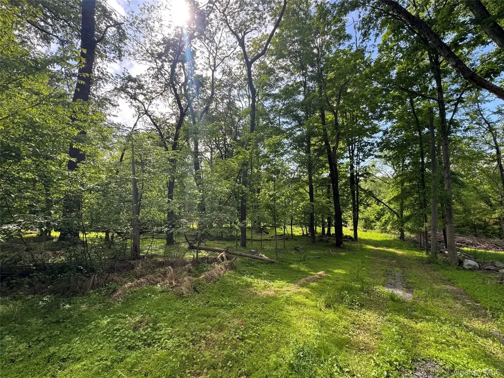 68 Union School Road Montgomery NY 12549