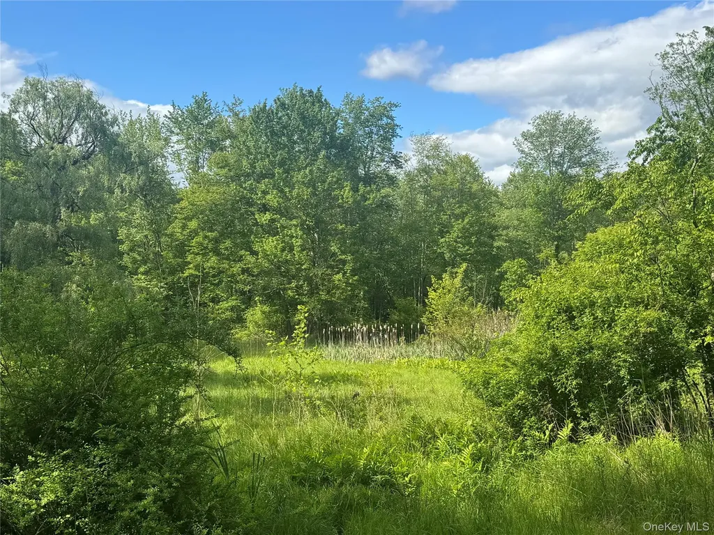 68 Union School Road Montgomery NY 12549