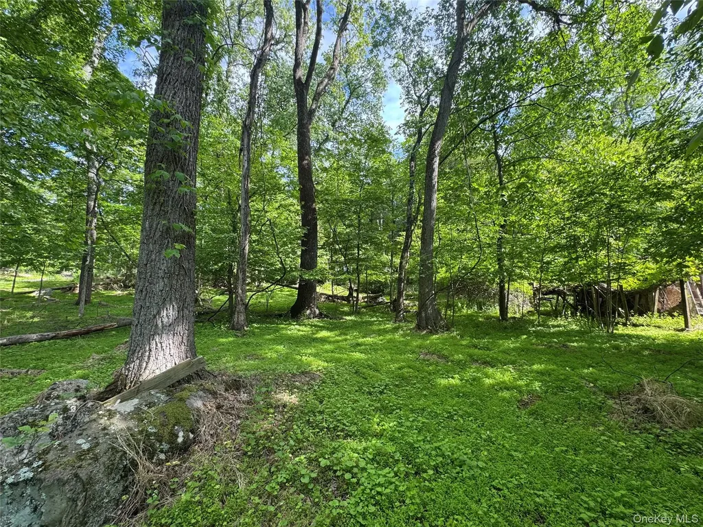 68 Union School Road Montgomery NY 12549