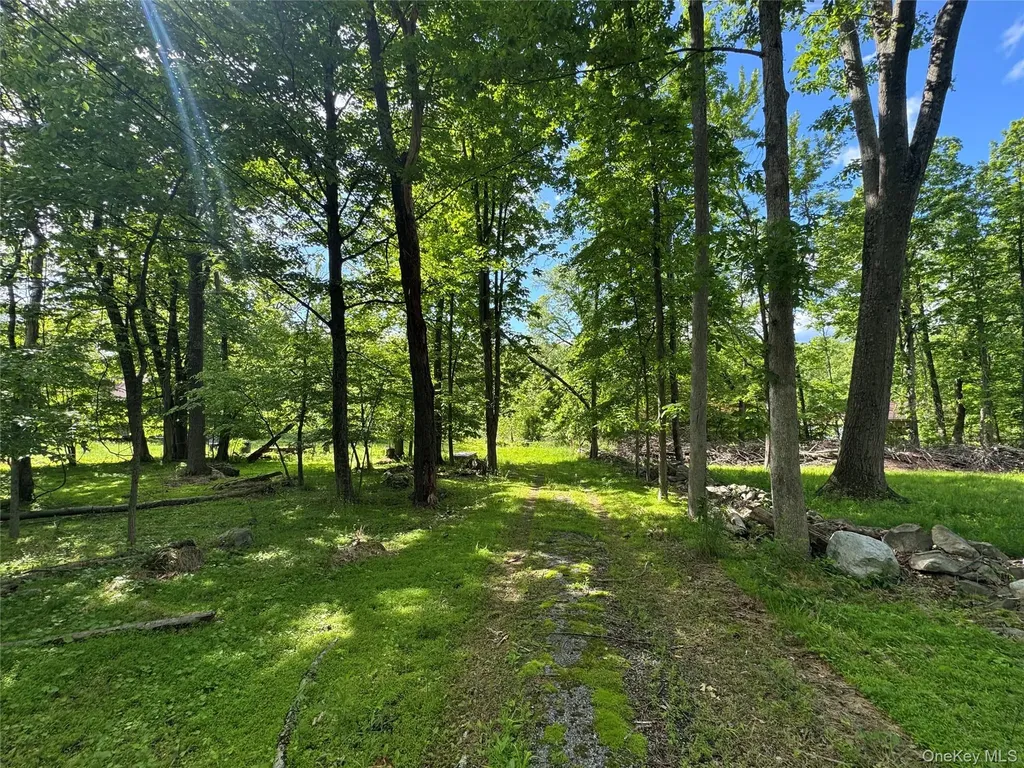 68 Union School Road Montgomery NY 12549