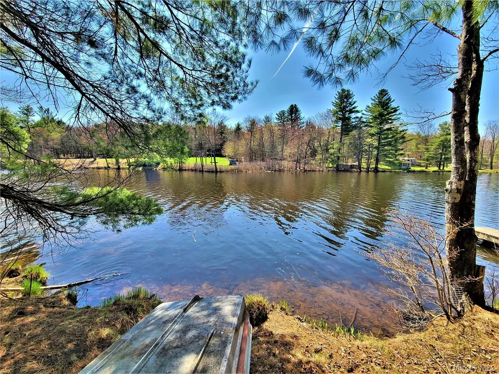 25 George Segar Road Swan Lake NY 12783
