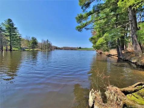 25 George Segar Road Swan Lake NY 12783