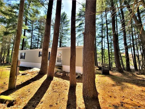 25 George Segar Road Swan Lake NY 12783