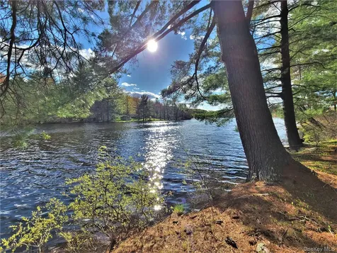 25 George Segar Road Swan Lake NY 12783