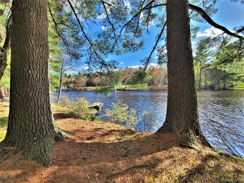 25 George Segar Road Swan Lake NY 12783