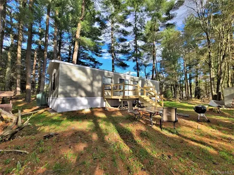 25 George Segar Road Swan Lake NY 12783