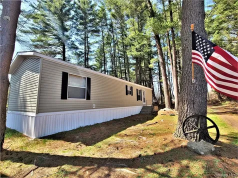 25 George Segar Road Swan Lake NY 12783