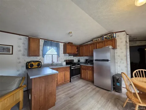 25 George Segar Road Swan Lake NY 12783