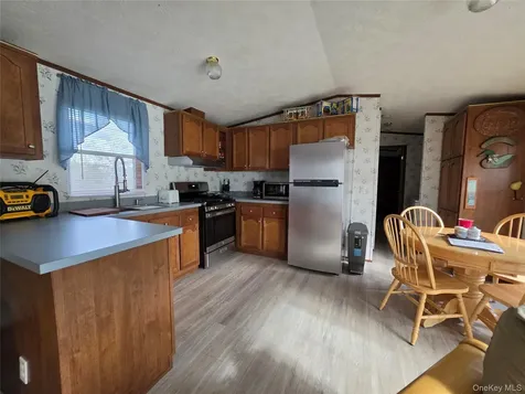 25 George Segar Road Swan Lake NY 12783