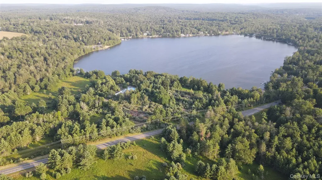 324 Acres Sackett Lake Road Monticello NY 12701