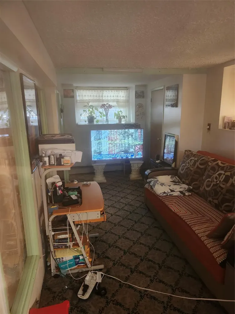 317 E 49th Street Brooklyn NY 11203