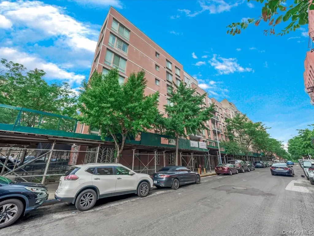 715 Fox Street Bronx NY 10455